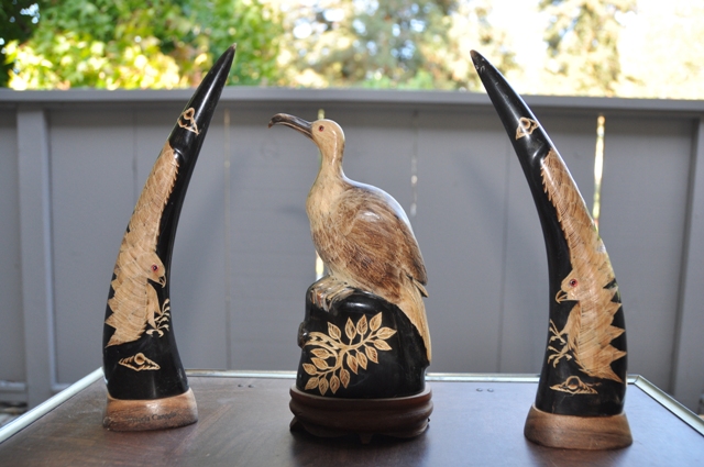 Beautiful carvings of birds on buffalo horn