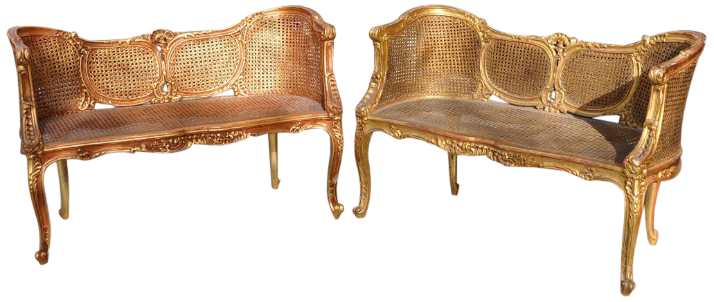 Pair of Louis XV style giltwood carved double caned settees (canapé en corbeille) of identical design