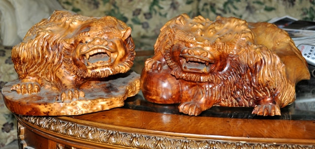 Pair of Burl wood carved Chinese sculptures of two Foo dogs on a large ball