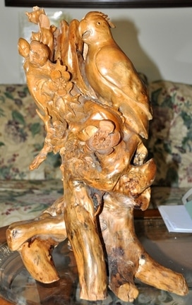 Burl wood carved sculpture of a parrot perched on a tree