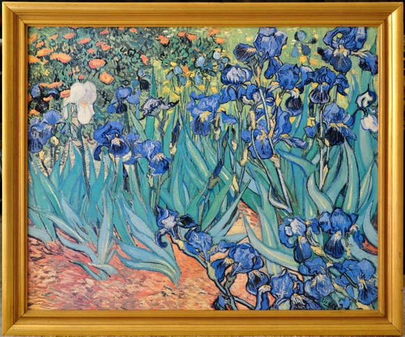 Canvas print of Vincent van Gogh's Irises