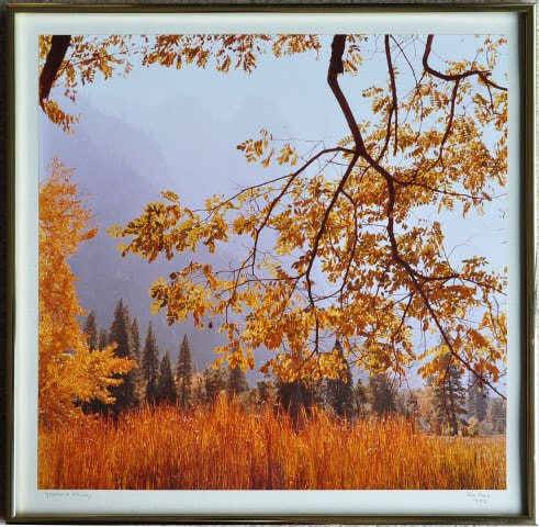 Beautiful framed photograph of Yosemite Valley in fall, 1982